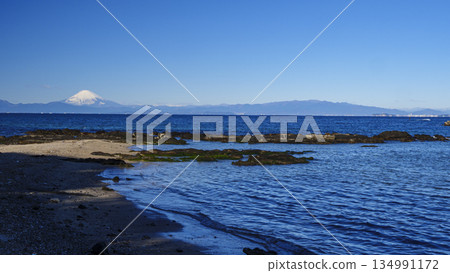 橫須賀市荒崎公園的冬天 134991172