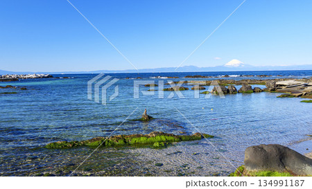 從橫須賀長井漁港眺望富士山 134991187