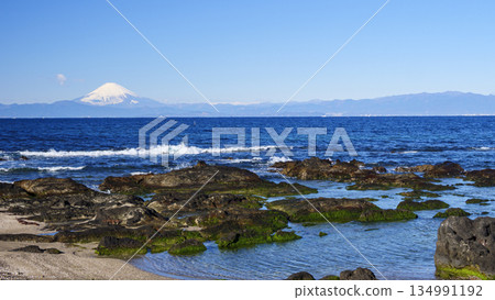 從橫須賀長井漁港眺望富士山 134991192