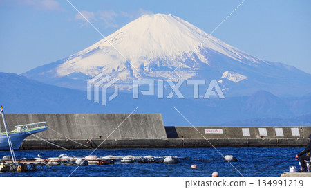 從橫須賀長井漁港眺望富士山 134991219