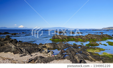 Mount Fuji as seen from Nagai Fishing Port in Yokosuka 134991220