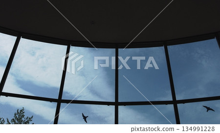 panoramic window of a large office. Large modern office space panoramic window of a large office. Large modern office space 134991228