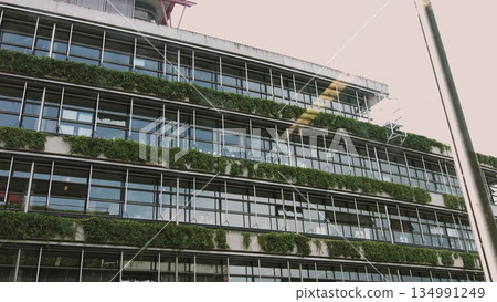 Modern large eco-house, green energy in harmony with nature 134991249