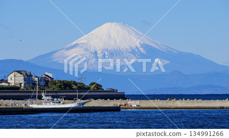 Mount Fuji as seen from Nagai Fishing Port in Yokosuka 134991266