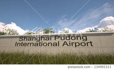 Arrivals at Shanghai Pudong International Airport with airplane landing near terminal, Shanghai, China 3D rendering Arrivals at Shanghai Pudong International Airport with airplane landing near terminal, Shanghai, China 3D rendering 134991521