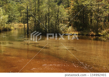 Shallow red soil and clear streams surrounded by forest Shallow red soil and clear streams surrounded by forest 134992401