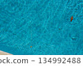 Swimming pool water with leaves, summer day background 134992488