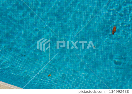 Swimming pool water with leaves, summer day background Swimming pool water with leaves, summer day background 134992488