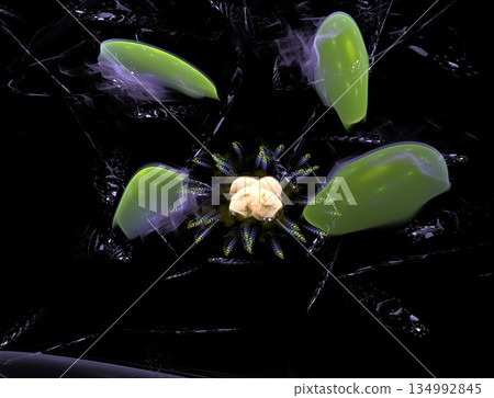 Imaginatory fractal abstract background Image Imaginatory fractal abstract background Image 134992845