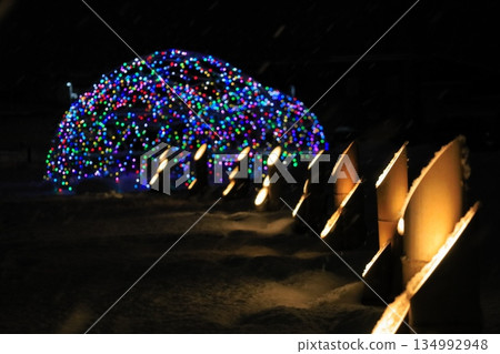 Bamboo lantern 134992948