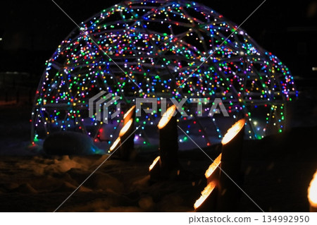 Bamboo lantern 134992950