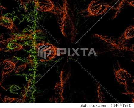 Imaginatory fractal abstract background Image Imaginatory fractal abstract background Image 134993558