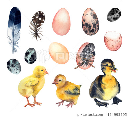 A set of watercolor Easter illustrations. Chicks, ducklings, Easter eggs, and feathers of various birds on a white background for a spring greeting card or decoration. All hand-painted in watercolor. A set of watercolor Easter illustrations. Chicks, ducklings, Easter eggs, and feathers of various birds on a white background for a spring greeting card or decoration. All hand-painted in watercolor. 134993595