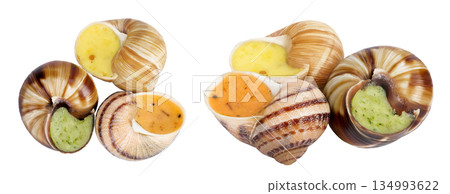 escargot snail filled with different fillings isolated on white background. Top view. Flat lay escargot snail filled with different fillings isolated on white background. Top view. Flat lay 134993622
