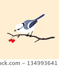 A blue tit bird sitting on a branch with berries. Vector illustration 134993641