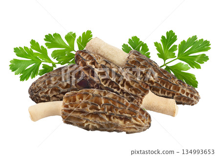 raw morel mushroom isolated on white background with full depth of field raw morel mushroom isolated on white background with full depth of field 134993653