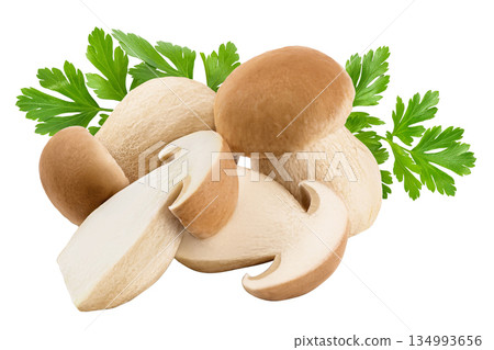 Fresh porcini cep mushroom isolated on white background with full depth of field 134993656