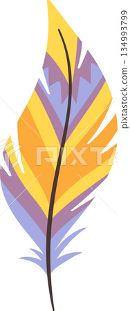 Decorative feather with tribal pattern 134993799