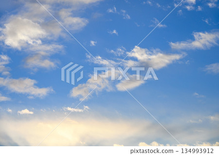 Morning light 134993912