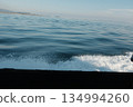 海浪被海浪擊打 134994260