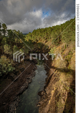 River in canyon with forest River in canyon with forest 134994601