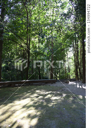 The atmosphere inside the shrine: Chodaku Shrine The atmosphere inside the shrine: Chodaku Shrine 134994722