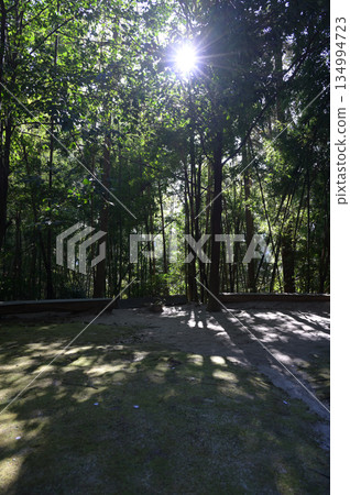 長土神社內部的氛圍 長土神社內部的氛圍 134994723