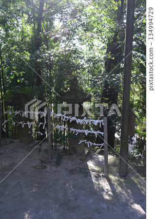 長土神社內部的氛圍 134994729