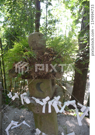 The atmosphere inside the shrine: Chodaku Shrine The atmosphere inside the shrine: Chodaku Shrine 134994733
