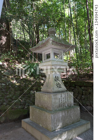 長土神社內部的氛圍 134994743