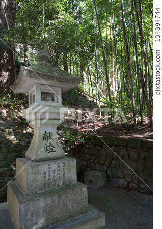 長土神社內部的氛圍 134994744