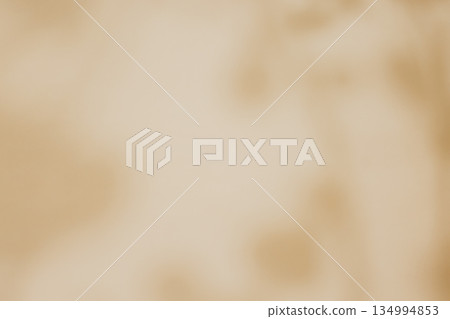米色的背景 米色的背景 134994853