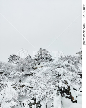 Gujo Hachiman Castle in the snow Gujo Hachiman Castle in the snow 134994895