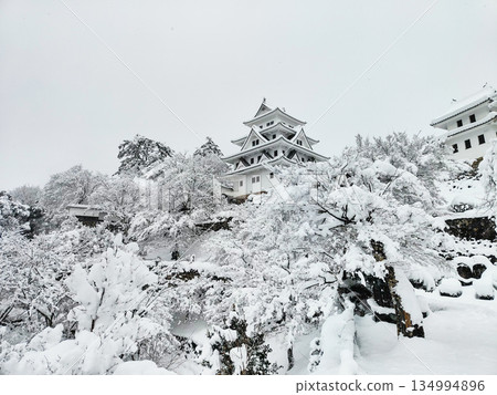 Gujo Hachiman Castle in the snow Gujo Hachiman Castle in the snow 134994896