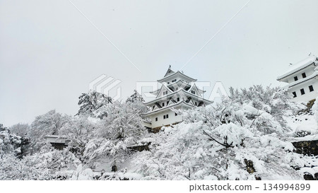 Gujo Hachiman Castle in the snow Gujo Hachiman Castle in the snow 134994899