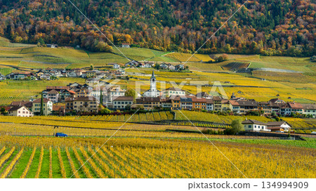 瑞士沃州伊沃訥的秋景，層層疊疊的葡萄園和教堂尖頂盡收眼底。 134994909
