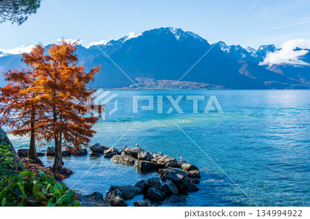 Colorful autumn foliage on the lakeside promenade in Montreux, canton of Vaud, Switzerland. 134994922