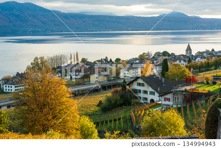 Village of Cully and terraced vineyards of Lavaux at sunset. Cully, canton of Vaud, Switzerland Village of Cully and terraced vineyards of Lavaux at sunset. Cully, canton of Vaud, Switzerland 134994943