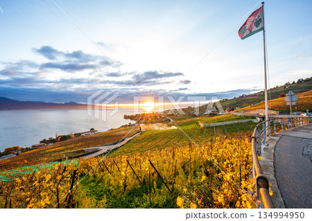 Local flags flying in the terraced vineyards of Lavaux at sunset. Lavaux, canton of Vaud, Switzerland 134994950