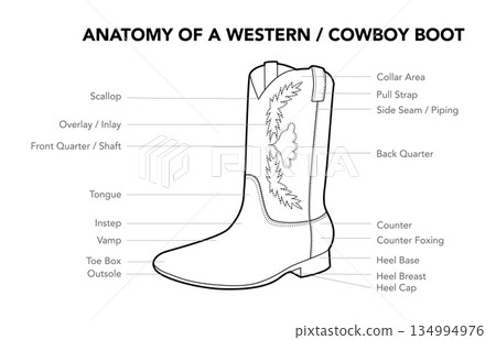 Western cowboy boot anatomy diagram sketch. Scallop, overlay and front quarter construction for reference design  134994976