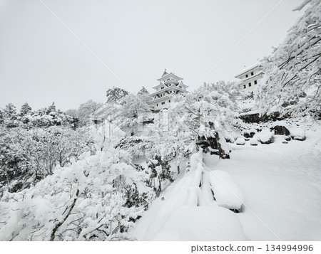 雪中的郡上八幡城 134994996