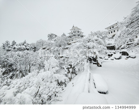 雪中的郡上八幡城 雪中的郡上八幡城 134994999