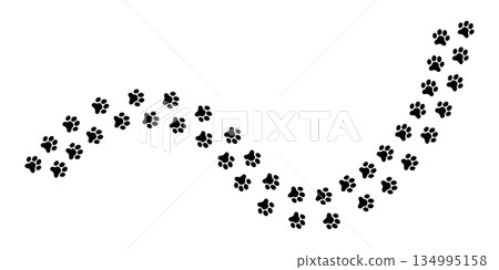 Wavy track of wet or mud paw prints of dog, cat, bear or wolf. Paw silhouettes. Steps of running or walking wild animals on snow or ground isolated on white background. Vector graphic illustration. Wavy track of wet or mud paw prints of dog, cat, bear or wolf. Paw silhouettes. Steps of running or walking wild animals on snow or ground isolated on white background. Vector graphic illustration. 134995158