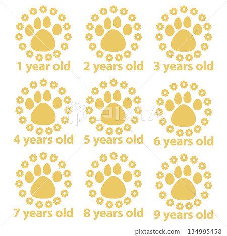 可愛寵物年齡花爪印金色套裝 1-9 134995458