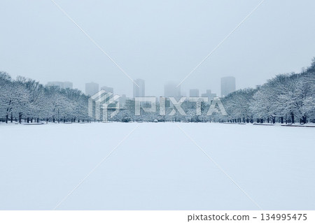 A winter scene enveloped in silence. A serene Japanese landscape painted with snow. 134995475
