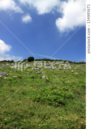 Shikoku karst Shikoku karst 134995671