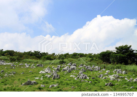Shikoku karst 134995707