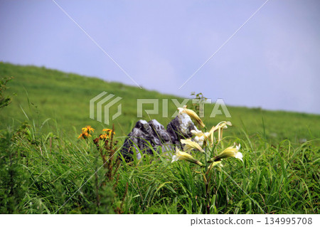 四國喀斯特 134995708