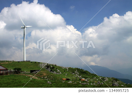 Shikoku karst 134995725