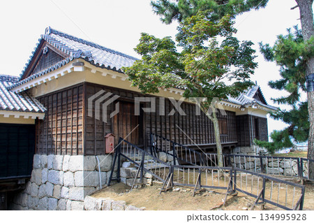 松山城 134995928